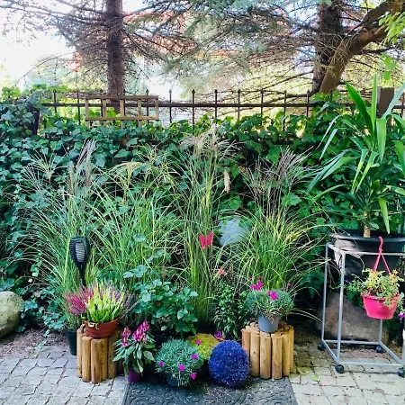 Apartamento Lovely With Patio Estetino